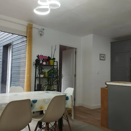 T2 + Jardin + Spa - Centre Du Lion D'angers *